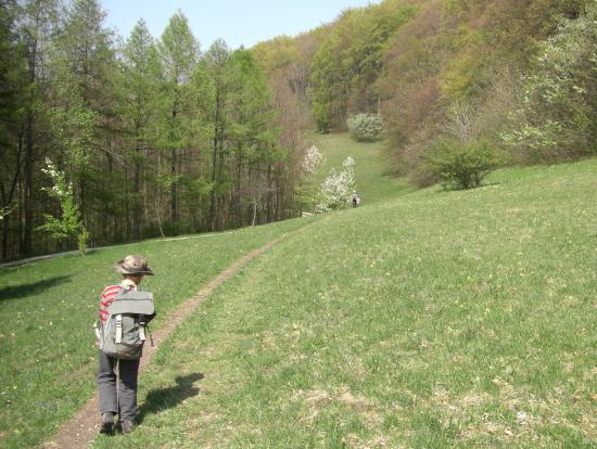 Séjour des "Petits Loups" en Allemagne