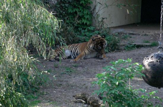 Zoo de Stuttgart