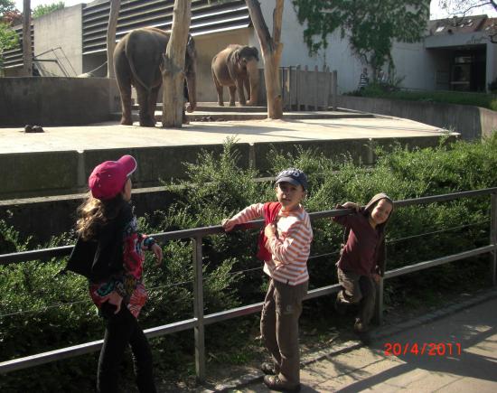 Zoo de Stuttgart