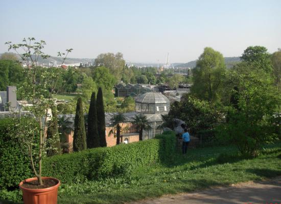 Zoo de Stuttgart