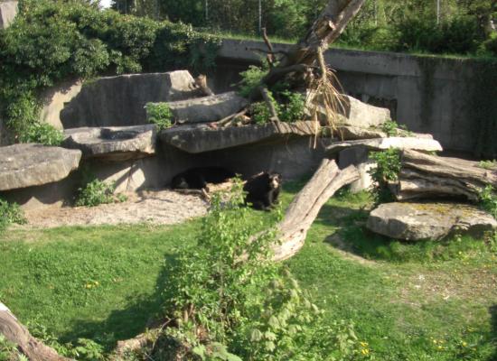 Zoo de Stuttgart