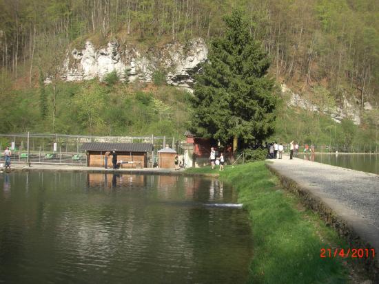 Bad Urach pêche à la truite