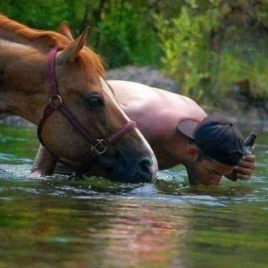 Cheval et homme