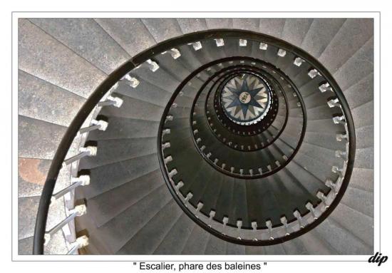 escalier-phare-des-baleines.jpg